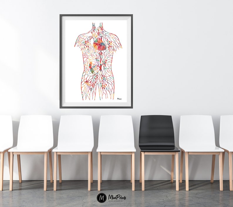 May include: A colorful anatomical illustration of the human circulatory system, showing the heart, lungs, and other organs. The illustration is printed on white paper and framed in a black frame.