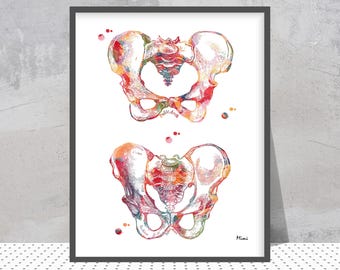 Female and Male Pelvic Bone Print | Anatomy  Art | Orthopedic Clinic Decor | Gift for Doctor