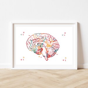 Brain Anatomy Cross Section Watercolor Print Human Brain Sagittal View ...