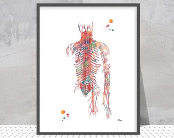 Circulatory System Watercolor Print Human Veins Anatomy Art Poster Medical Art Blood Vessels Illustration Physiology Print Wall Art Gift