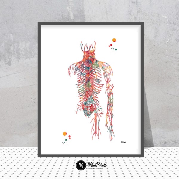 Kreislaufsystem Aquarell Druck Venen Anatomie Kunst Poster Medizinische Kunst Blutgefäße Illustration Physiologie Druck Wand Kunst Geschenk