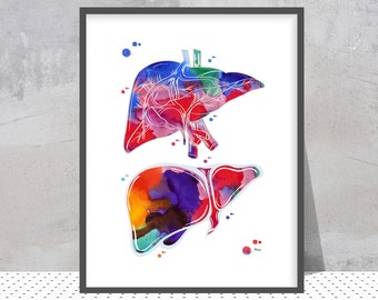 Anatomical Liver watercolor print anatomy art illustration medical art poster liver print surgery art clinic wall art anatomy of the Liver