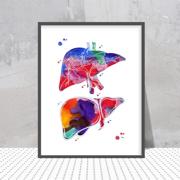 Anatomical Liver watercolor print anatomy art illustration medical art poster liver print surgery art clinic wall art anatomy of the Liver