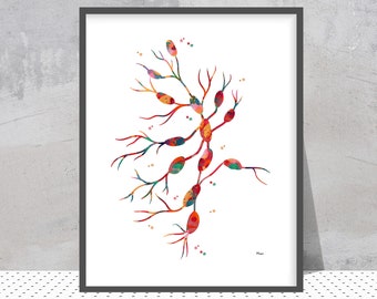 Lymph Nodes Watercolor Anatomy Print, Medical Illustration