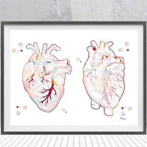 Human Heart watercolor print, medical art heart poster anterior and posterior view of the heart anatomy art surgery anatomical heart print