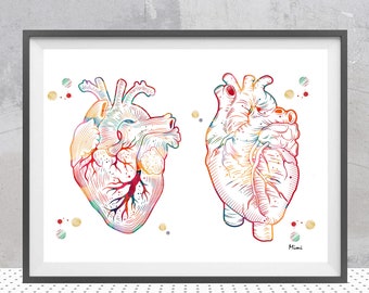 Heart Anatomy Watercolor Print | Cardiology Art | Cardio Clinic Decor | Cardiologist Gift