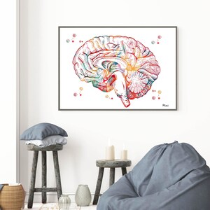 Brain Anatomy Cross Section Watercolor Print Human Brain Sagittal View ...