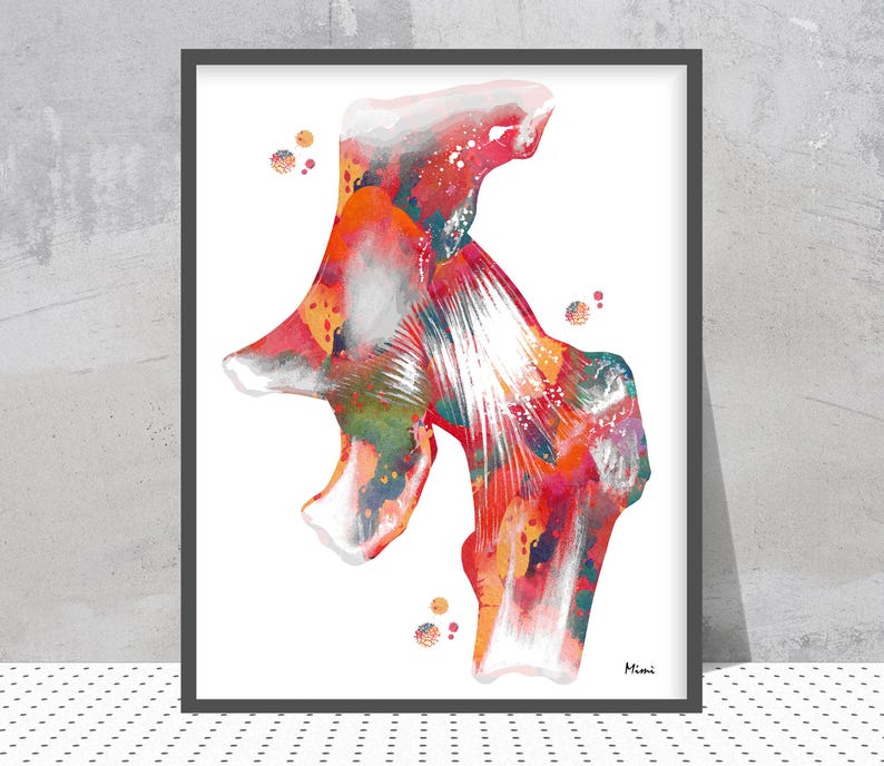 May include: A framed watercolor print of a hip joint, showcasing a vibrant blend of red, orange, green, and purple hues. The artwork features anatomical details with a white background and a minimalist style. Signed "Mimi".