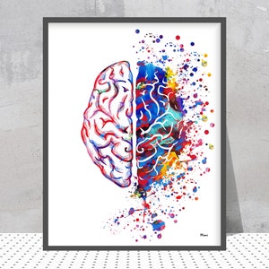 May include: A watercolour painting of a human brain, split in half, with colourful splashes of paint around it.