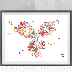 IgG Antibody Chemical Structure Print Immunoglobulin G (IgG) Watercolor IgG Antibody Molecule Poster Immune system Immunoglobulin G IgGmAb