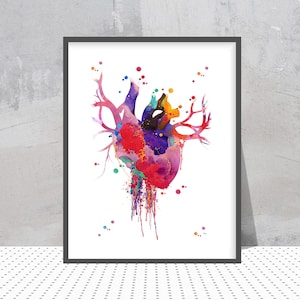 Heart Anatomy Watercolor Print Abstract Medical Art The Human Heart Poster Anatomy Art Illustration Anatomical heart print science art gift