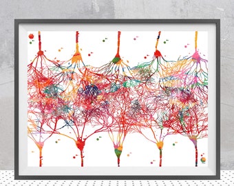 Cortical Neurons Art Print Connections Between Pyramidal Neurons Watercolor Brain Art Cerebral tissues Anatomy Neocortex Illustration