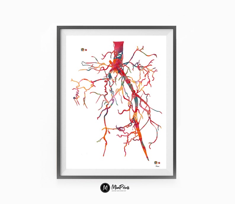 Aorta Angiogram Print Aorta Angiography Watercolor Angiology Painting Abstract Anatomy Print Medical Art Cardiovascular Radiology Print image 5