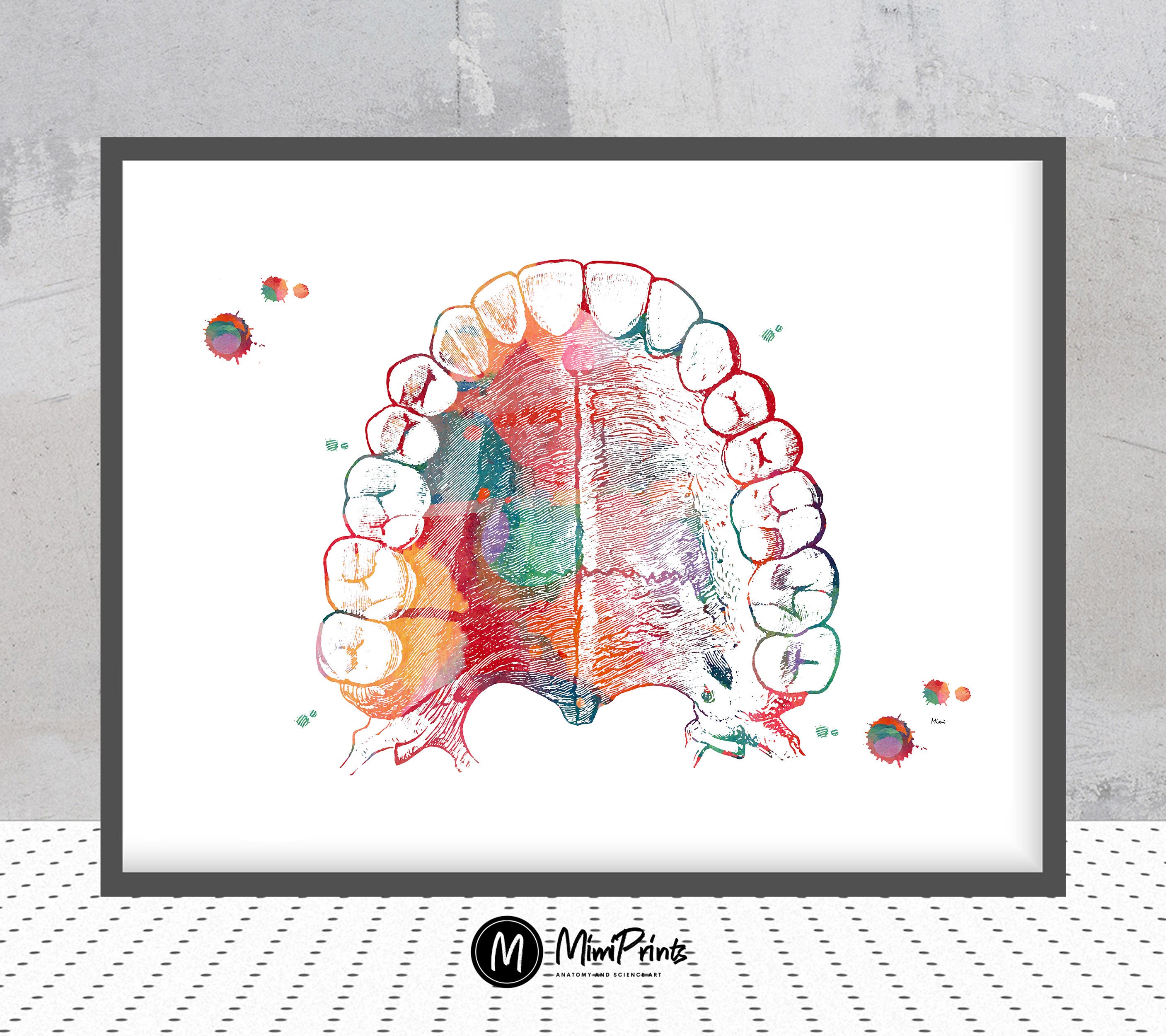 Mouth Anatomy Hard Palate and Teeth Art Print Medical Art Etsy
