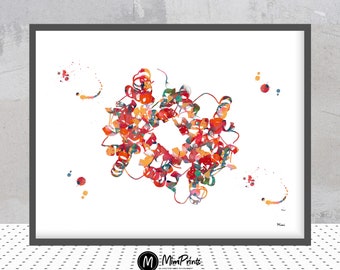 Hemoglobin science art watercolor print blood cells hemoglobin poster anatomy art heme group painting print biology art hemoglobin