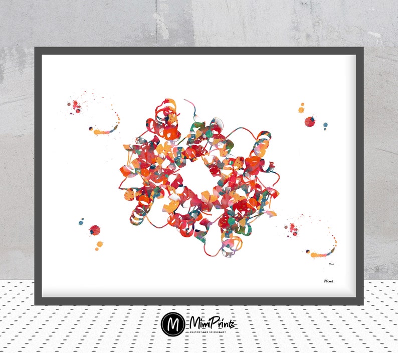 Hemoglobin science art watercolor print blood cells hemoglobin poster anatomy art heme group painting print biology art hemoglobin image 1