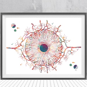Iris Art Print Eye Anatomy Watercolor Medical Art Ophthalmology Watercolor iris structure with blood vessels Optometry poster