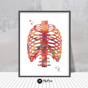 Rib cage watercolor print anatomy art thorax poster medical art skeletal system thorax print vertebral column ribs sternum wall decor poster