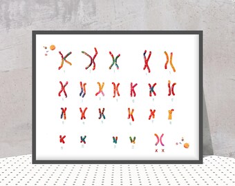 May include: A framed wall art print displaying a human karyotype with twenty-three pairs of chromosomes. Each chromosome is rendered in a vibrant, multi-colored watercolor style against a white background, with small numbered labels below each pair.