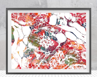 Impresión en acuarela de la anatomía mamaria en período de lactancia, histología de la glándula mamaria