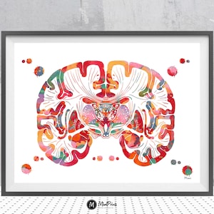Stampa del cervello Sezione coronale del cervello umano Anatomia del cervello Acquerello Neurologia Pittura Clinica medica Arte murale Neurologo Arte regalo