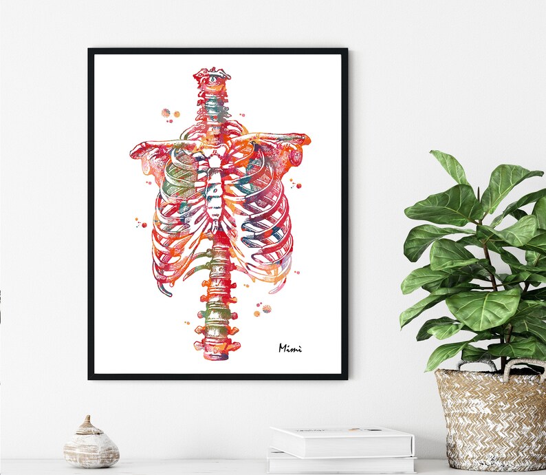 Rib Cage Print Human Thorax Anatomy Medical Art Watercolor Skeletal ...