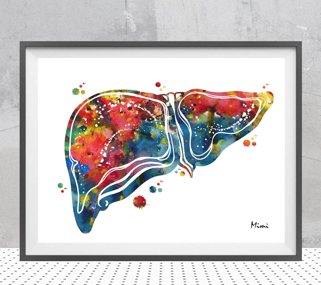 Human Liver Anatomy Print Liver Surgery Watercolor Anatomical Liver ...