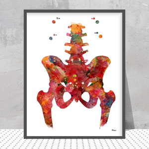 Human Hip Watercolor Print Hip And Lower Spine Poster Skeletal System Pelvis And Vertebral column Anatomy Art Medical Art Print