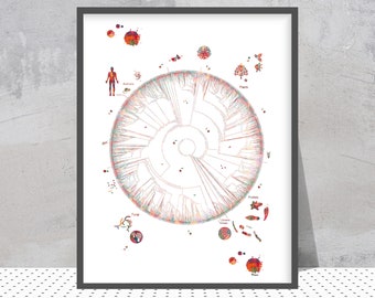 Phylogenetic tree of Life Watercolor Print Circular phylogenetic dendrogram Poster Biology Art Print Science Art Print