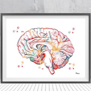Brain Anatomy Art Print: Sagittal Section, Neurology Poster