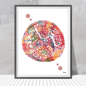 Fallopian Tube Histology Watercolor Print Female Reproductive System Poster Uterus Anatomy Art Gynecology Print OBGYN Fertility Art Gift