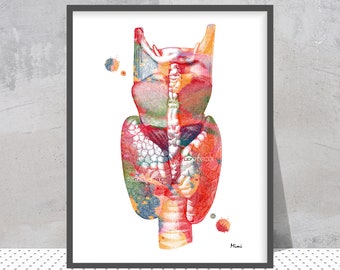 Thyroid Gland Watercolor Print | Endocrinology Art | Endocrine Clinic Decor