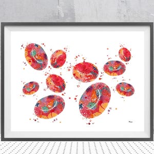 Czerwone krwinki akwarela wydruk hematologia nauka wydruk krwi komórki biologia malarstwo wydruk sztuka medyczna ilustracja