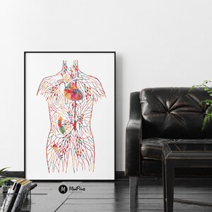 May include: A colorful anatomical illustration of the human circulatory system, showing the heart, veins, and arteries. The illustration is in a watercolor style and features a variety of colors, including red, blue, green, and yellow. The image is printed on white paper and framed in a black frame.