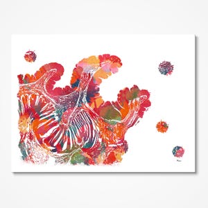 Colon Histology Watercolor Print, Abstract Anatomy Art, Digestive ...