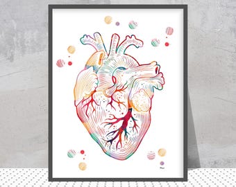 Watercolor Heart Anatomy Print | Cardiology Art | Cardio Clinic Decor | Cardiologist Gift