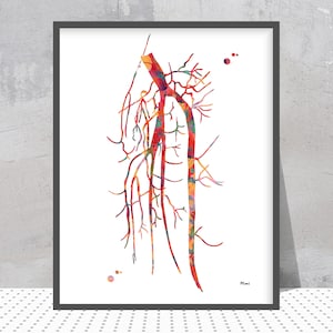 Angiogram Print Popliteal Artery Watercolor Angiography Painting Of The Popliteal Tibial Artery Abstract Anatomy Medical Art Angiology Print