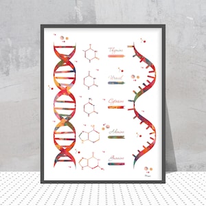 DNA And RNA Structure Science Art Print Rna Genetics Art Poster Nucleotide Bases in RNA Watercolor Rna Dna illustration