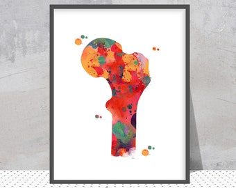 Aquarelprint dijbeenbeen, orthopedische anatomie
