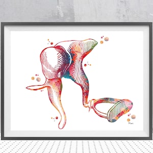 Ear Ossicles Print Human Ear Anatomy Watercolor Auditory Ossicles Incus Malleus Stapes Vestibular System Structure Poster Audiology Painting