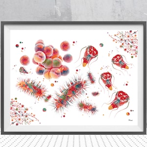 Bacteria Print Scientist Gift Bacteria Fungi Parasites Watercolor Giardia E-Coli Staph Aureus Histoplasma Poster Science Art Wall Decor Gift