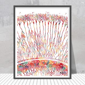 Può includere: Un'illustrazione ad acquerello di un neurone colorato, una cellula nervosa, con una rappresentazione dettagliata dei suoi dendriti e assone. L'illustrazione è una rappresentazione scientifica della struttura di un neurone.