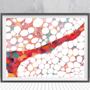 Bone Marrow Watercolor Print Anatomy Art Poster Hematopoietic Cells And Reticular Connective Tissue Histology Print