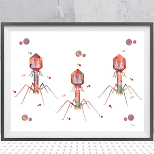Bakteriophage Aquarell Druck Wissenschaft Poster Phage Illustration Wissenschaft Geschenk Biologie Kunst
