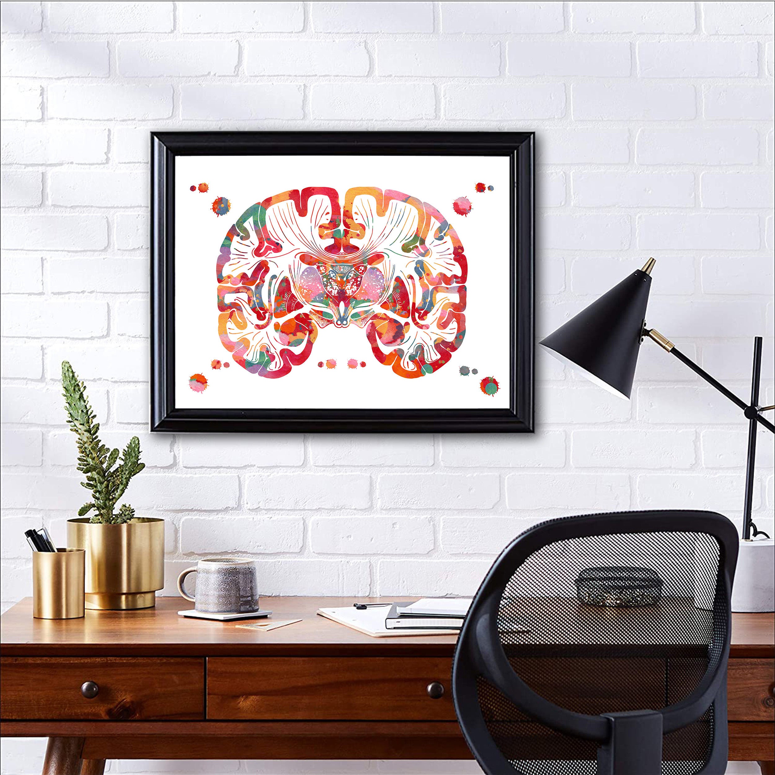 Brain Print Coronal Section of the Human Brain Brain Anatomy Watercolor ...