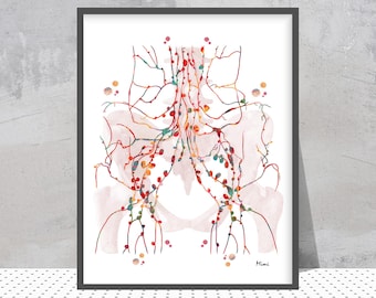 Female Pelvic And Inguinal Lymph Nodes Print | Endocrinology Art | Lymphatic System Specialist Office Decor