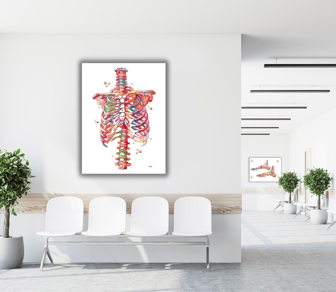 Che Rib Poster Rib Cage Print Human Thorax Anatomy Medical Art Watercolor Skeletal ...