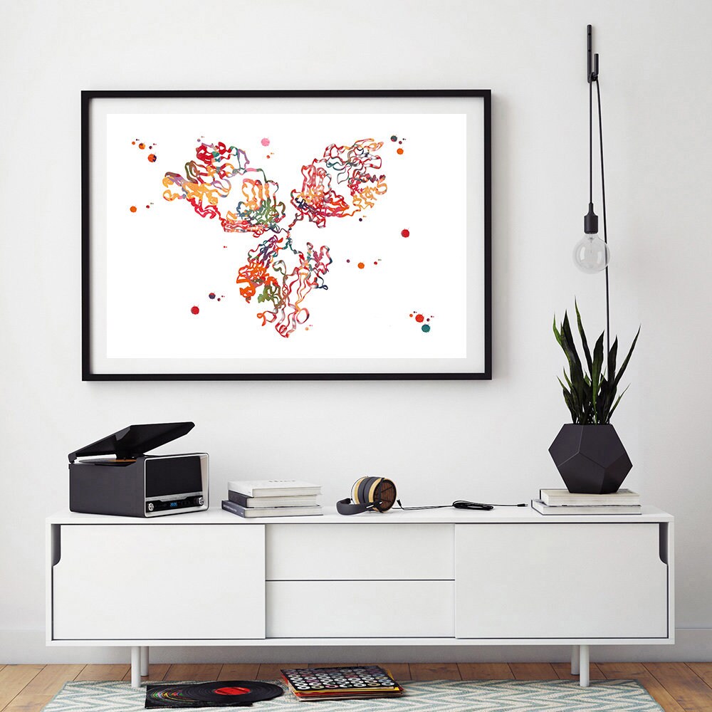 Immunoglobulin G antibody molecule C013 / 7916 available as Framed Prints,  Photos, Wall Art and Photo Gifts