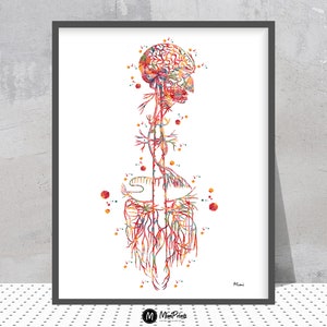 Vagus Nerve Medical Print Vagal Nerves Anatomy Cranial Nerves X Watercolor CN X Parasympathetic Nervous System Medical Clinic Decor