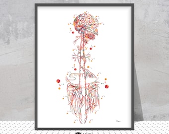 Vagus Nerve Medical Print Vagal Nerves Anatomy Cranial Nerves X Watercolor CN X Parasympathetic Nervous System Medical Clinic Decor